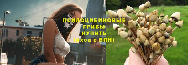 дмт Осташков