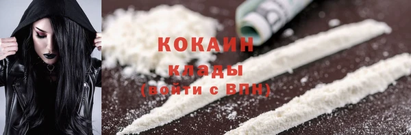 дмт Осташков