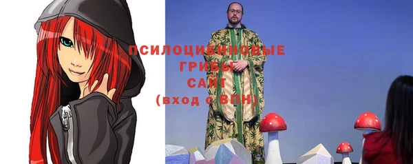 мет Болхов
