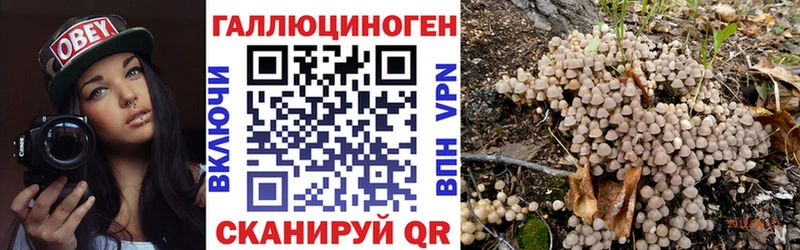 мега рабочий сайт  Шарыпово  Псилоцибиновые грибы мухоморы 